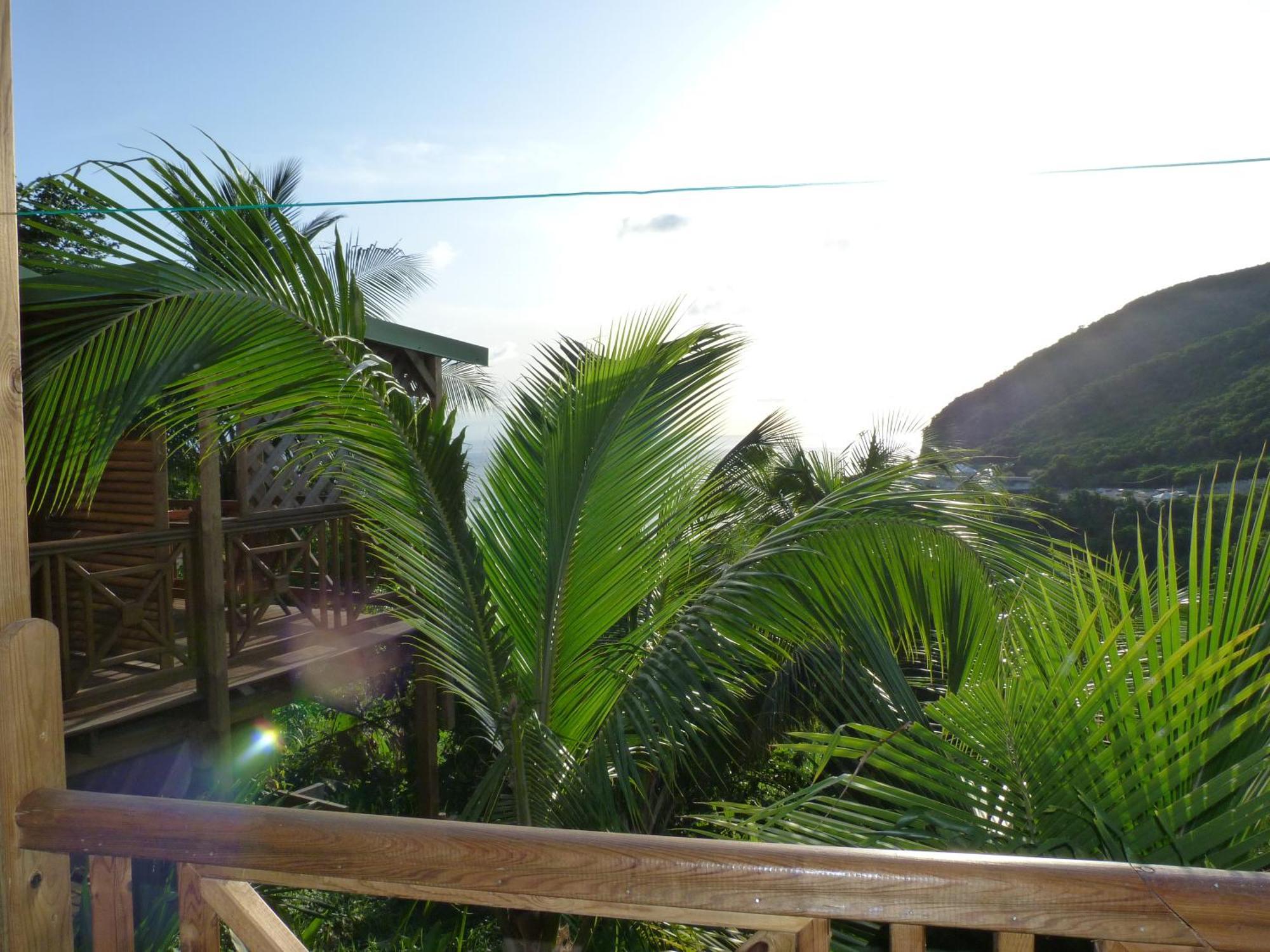 Les Hauts De Deshaies Exterior foto